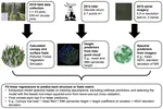 Young forests and fire: Using lidar–imagery fusion to explore fuels and burn severity in a subalpine forest reburn