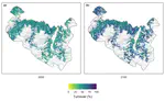 Projected climate and canopy change lead to thermophilization and homogenization of forest floor vegetation in a hotspot of plant species richness